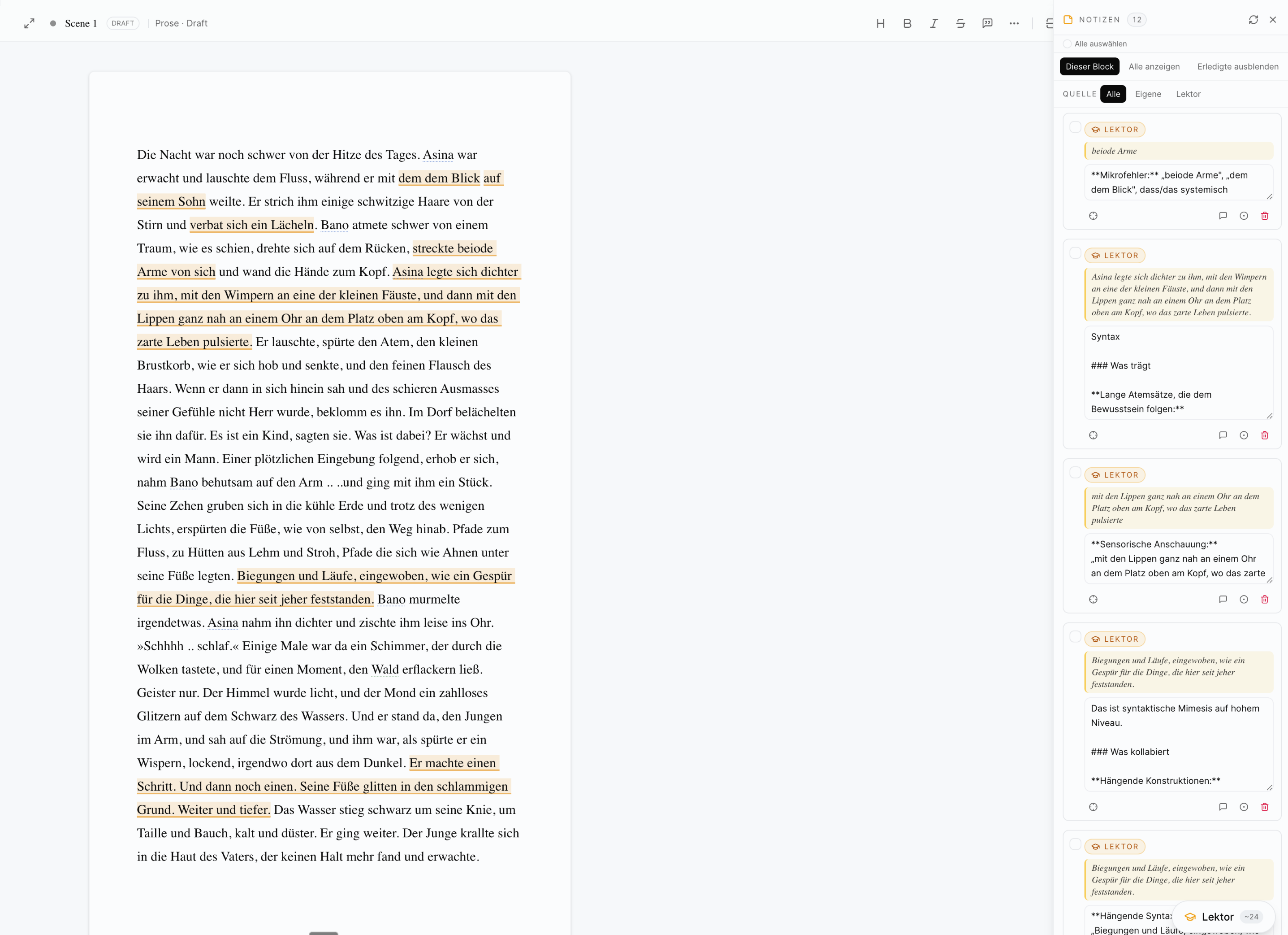 Lektor-Ansicht — eingebautes Lektorat liest mit, kennt Figuren und Schauplätze aus dem Codex